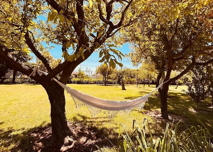 Villa Quinta Tilia - *